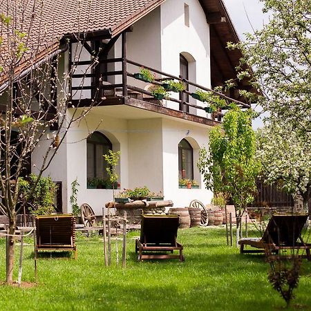 Casa Mosului - Transfagarasan Bed & Breakfast Cîrţişoara Exterior foto