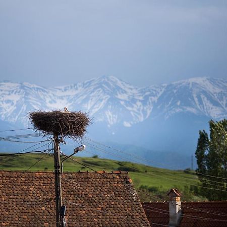 Casa Mosului - Transfagarasan Bed & Breakfast Cîrţişoara Exterior foto