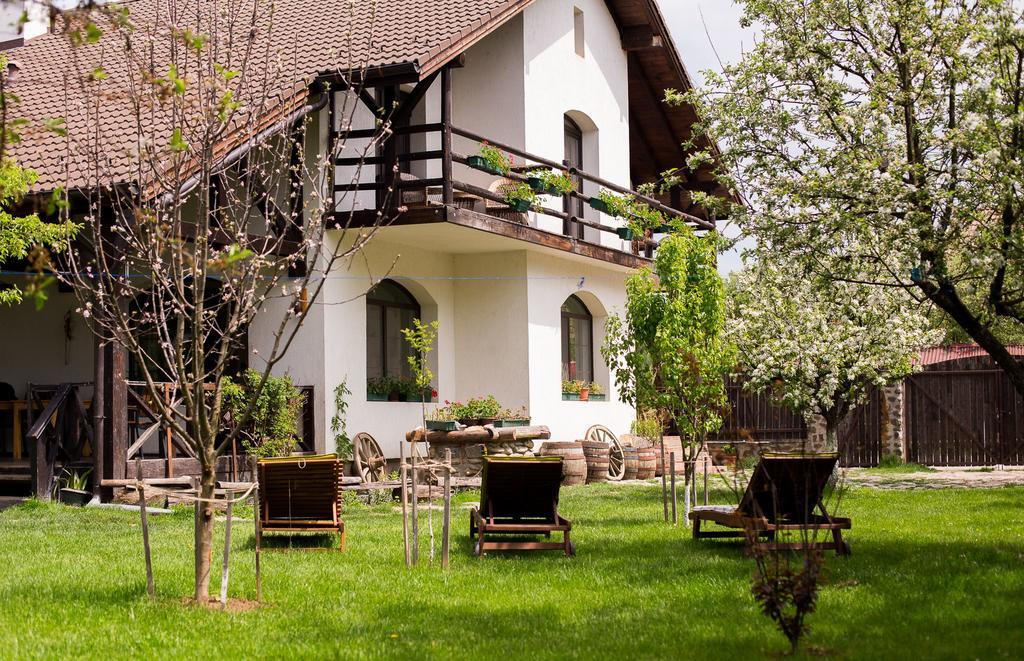 Casa Mosului - Transfagarasan Bed & Breakfast Cîrţişoara Exterior foto