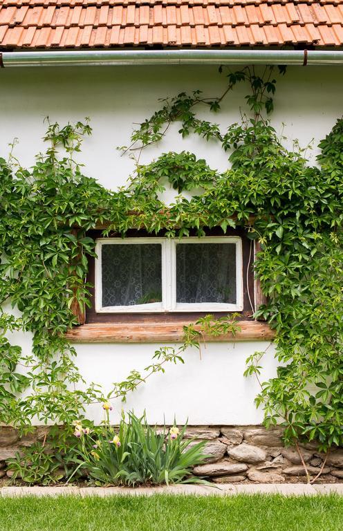 Casa Mosului - Transfagarasan Bed & Breakfast Cîrţişoara Exterior foto