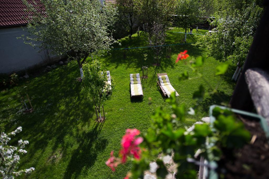 Casa Mosului - Transfagarasan Bed & Breakfast Cîrţişoara Exterior foto