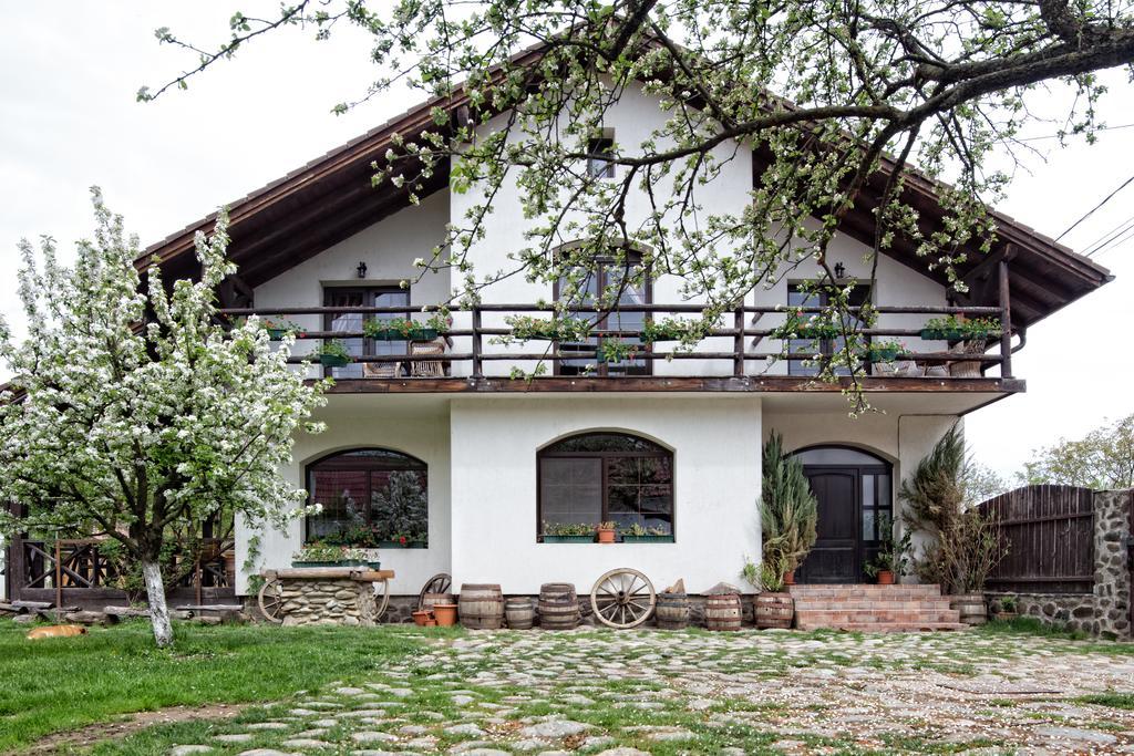 Casa Mosului - Transfagarasan Bed & Breakfast Cîrţişoara Exterior foto