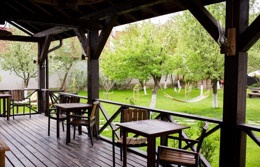 Casa Mosului - Transfagarasan Bed & Breakfast Cîrţişoara Exterior foto
