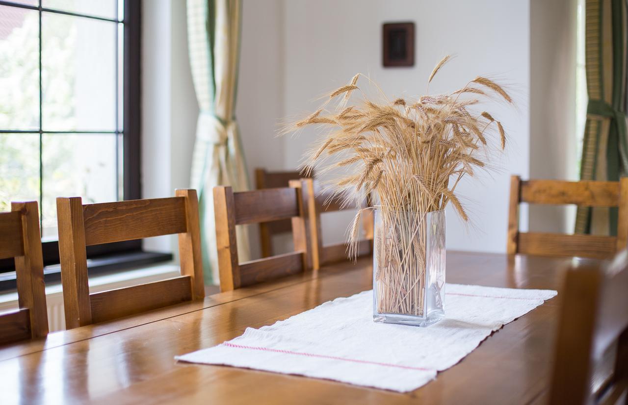 Casa Mosului - Transfagarasan Bed & Breakfast Cîrţişoara Exterior foto